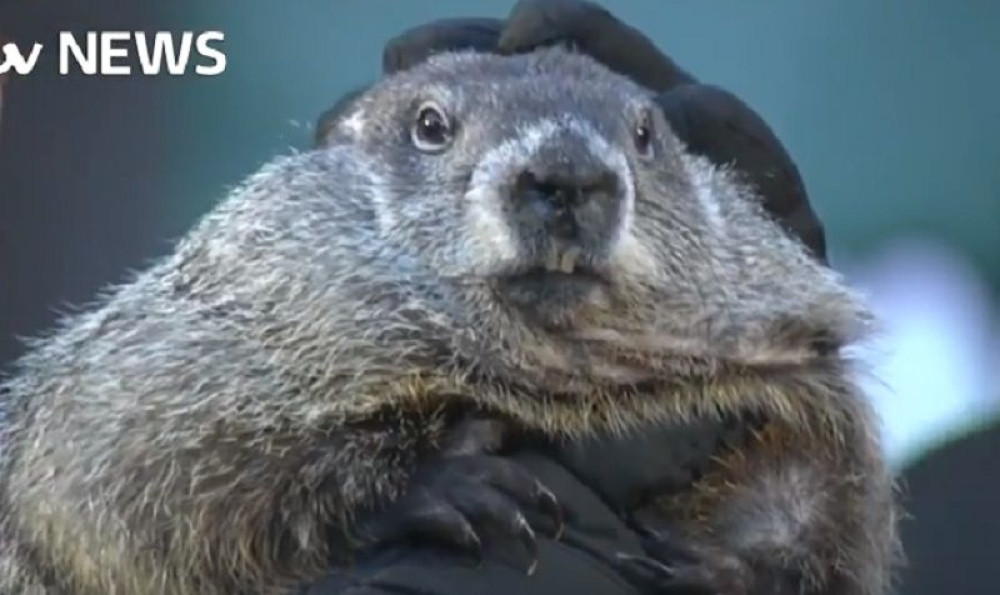 Evo koliko će još trajati zima!