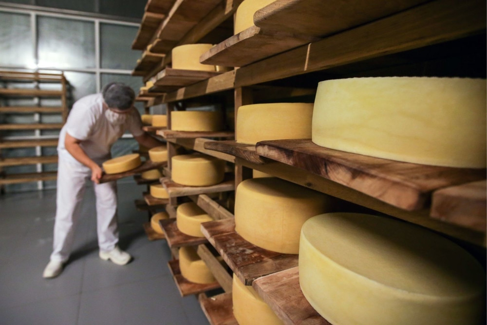 Prodaju nam kozji sir sa kravljim mlekom?