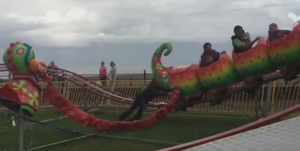 Rolerkoster na gurku! (VIDEO)