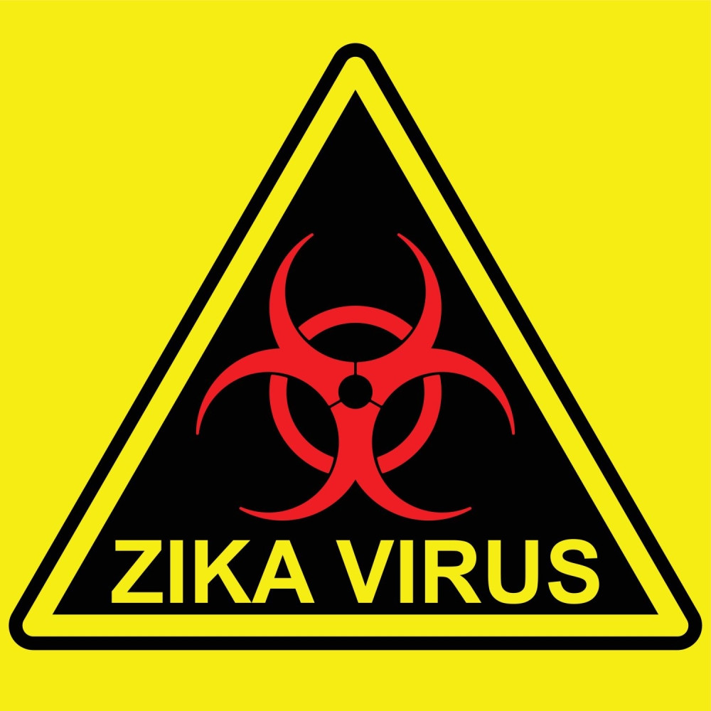 Prvi slučaj fetusa sa zika virusom u Madridu