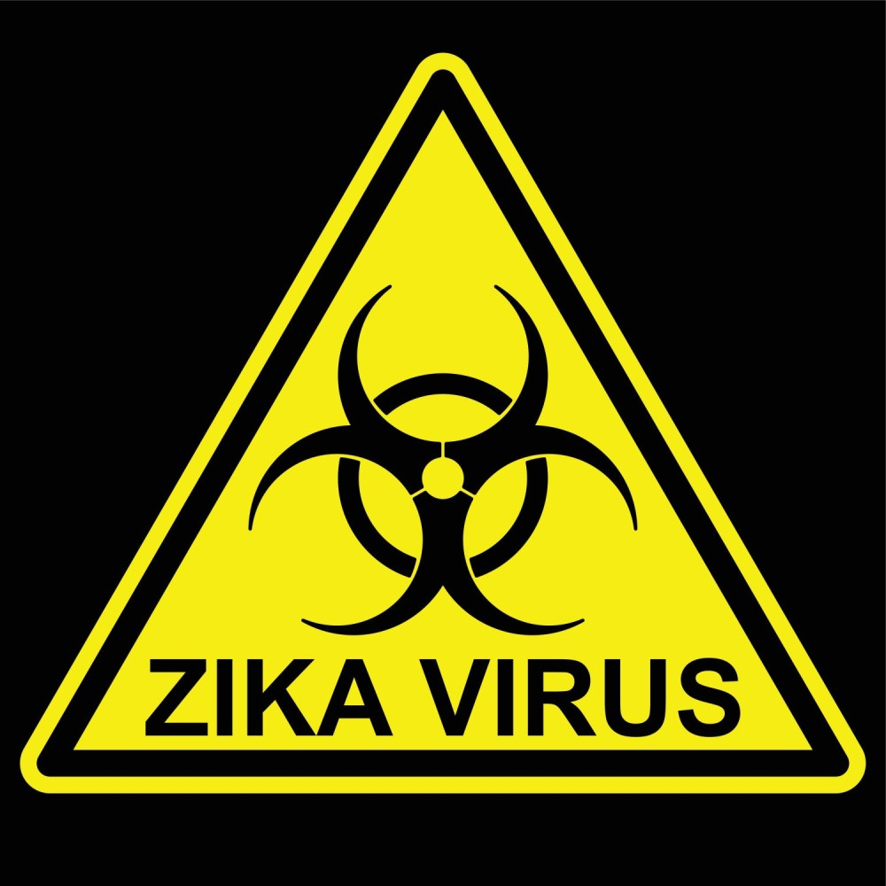 Zika virus stigao i u Rusiju