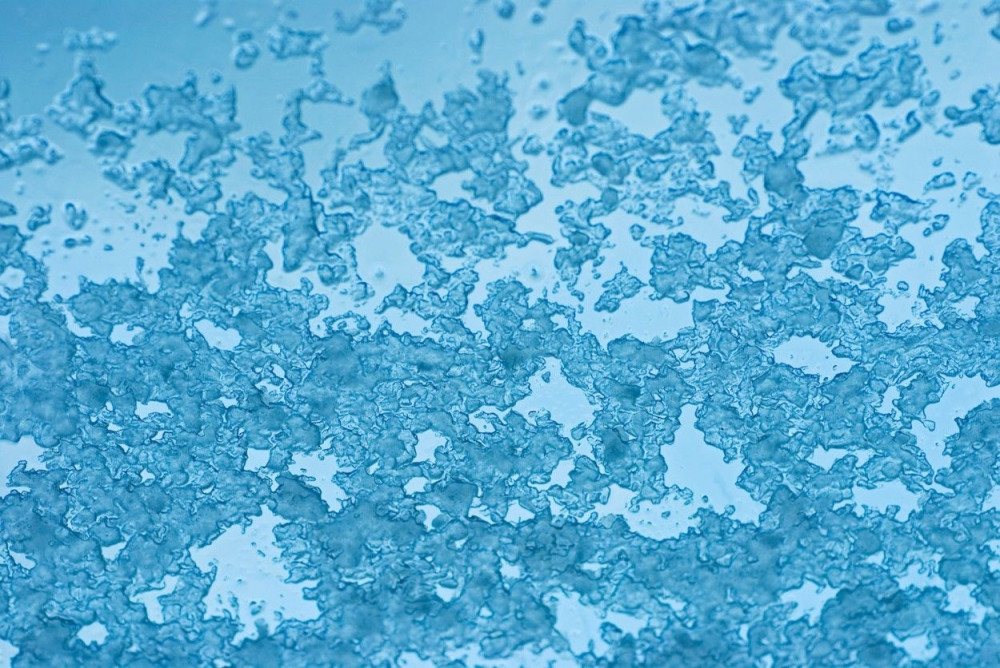 Danas hladnije uz kišu i sneg