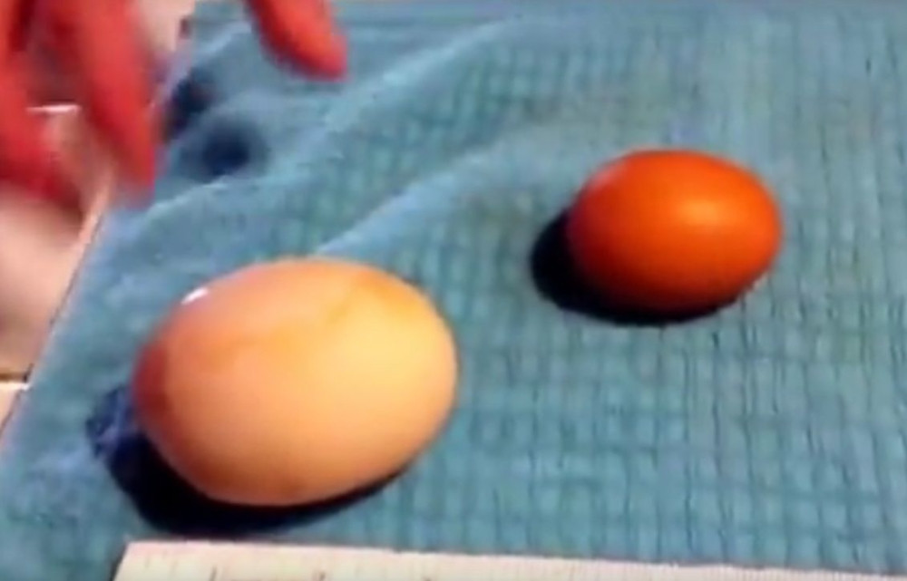 Razbio je ogromno jaje i ostao u čudu! (VIDEO)