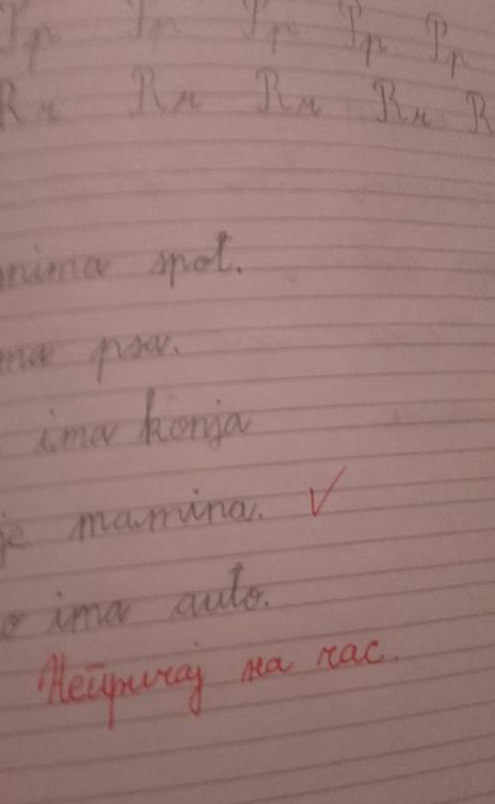 Nepismena učiteljica šokirala Crnu Goru