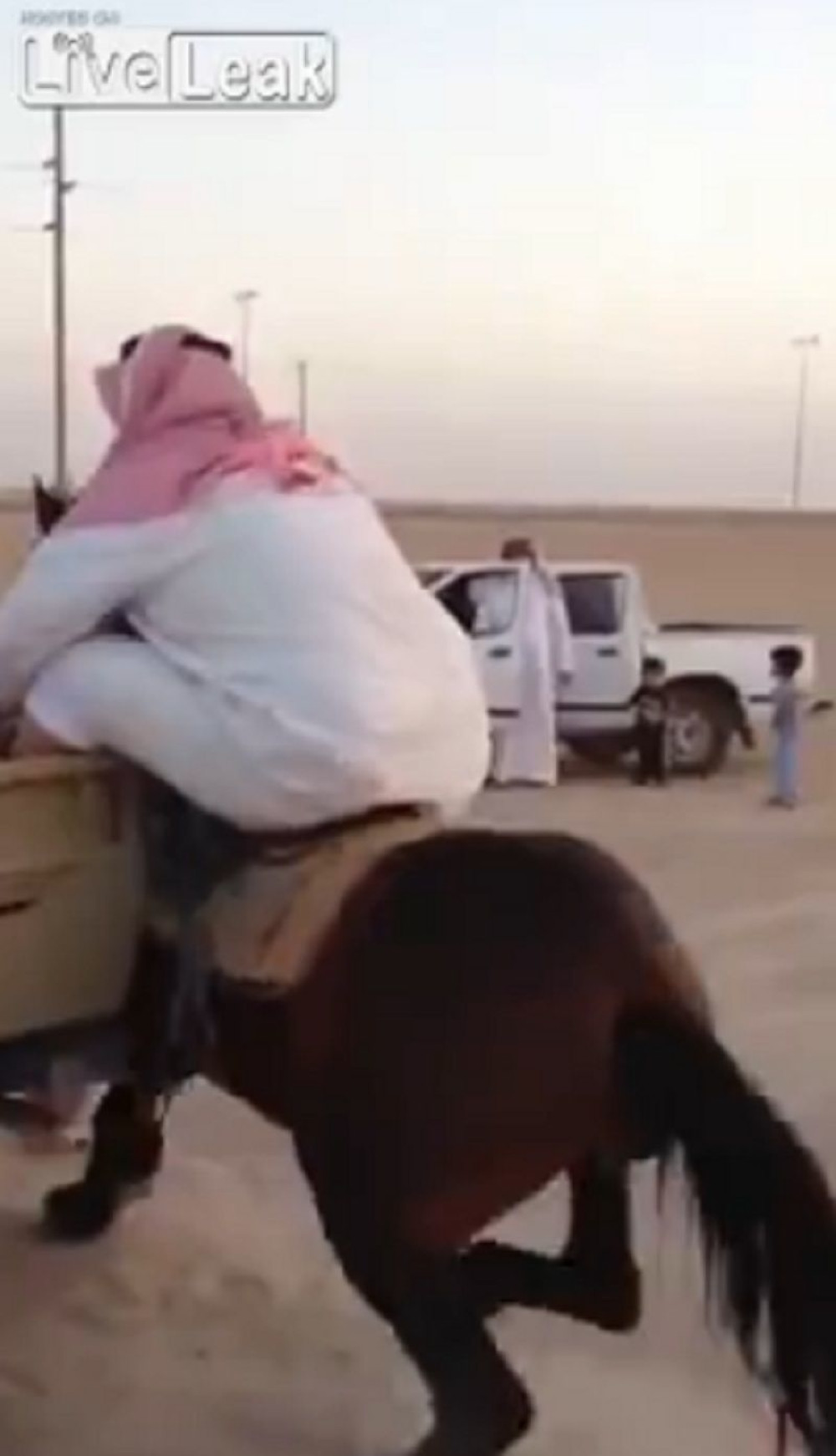 Konj odbio da nosi gojaznog čoveka (VIDEO)