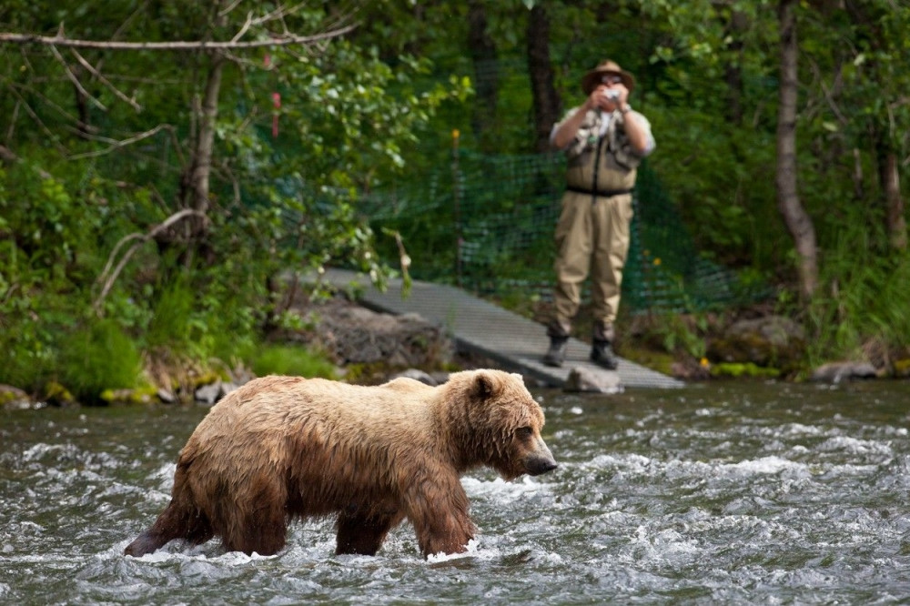 Spasao Putina od medveda!