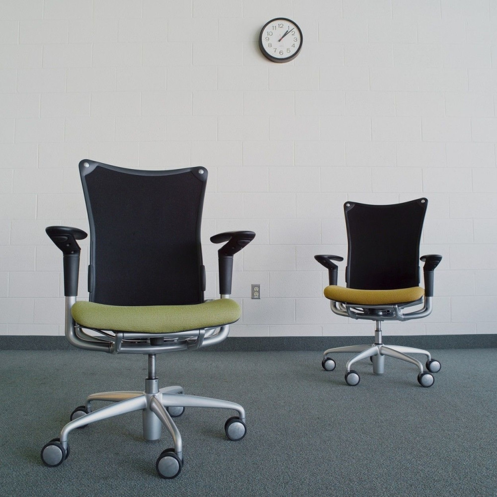 Ne može i u državnu i partijsku fotelju