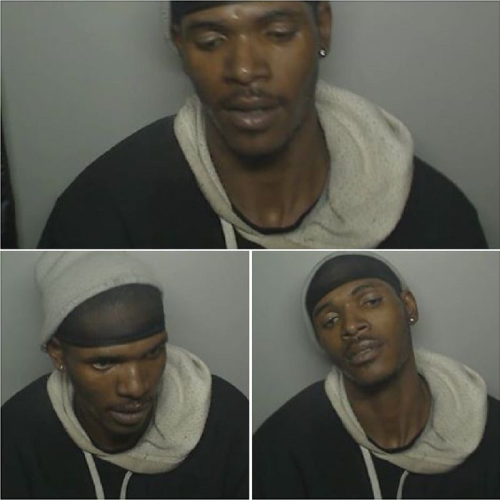 Nije mozak za svakoga... (FOTO)