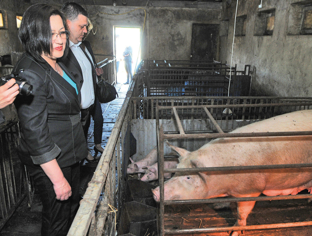 Bogosavljević: Seljaci, više da radite!