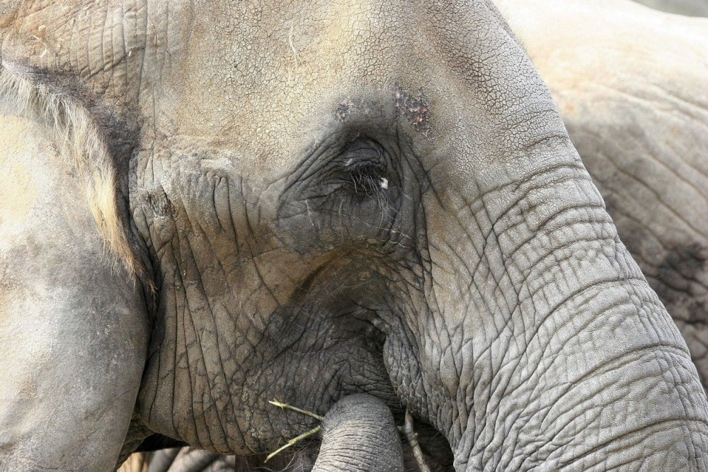 Ovaj selfi trend ubija!