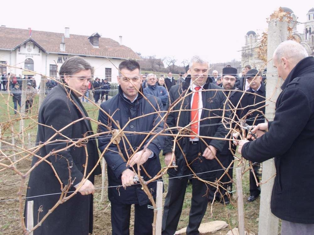 Vinari i vinogradari se okupili u Aleksandrovcu