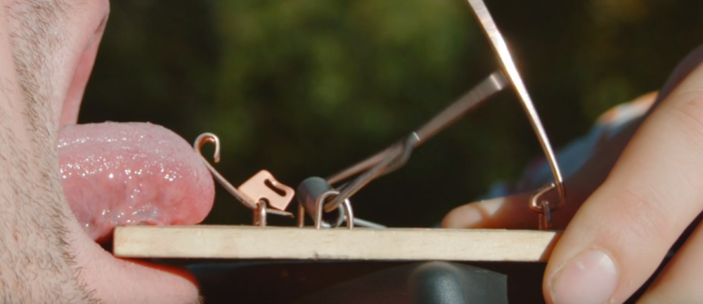 Ovako mišolovka hvata jezik! (USPORENI VIDEO)