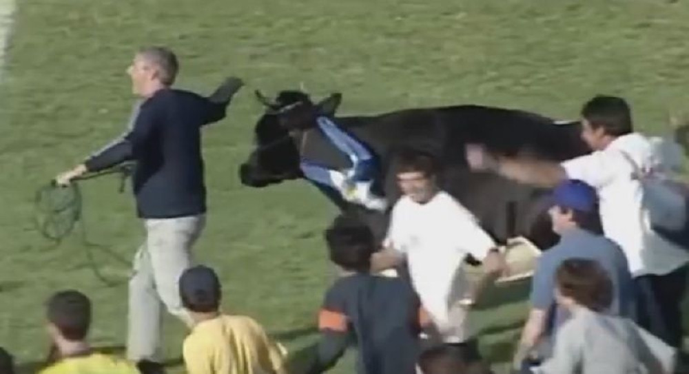 Ovo je zabranjena reklama za urugvajsko prvenstvo (VIDEO)