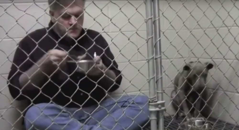 Ušao sa psom u kavez da doručkuje! (VIDEO)