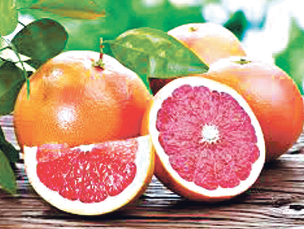 Uz lekove za pritisak ne ide grejpfrut!