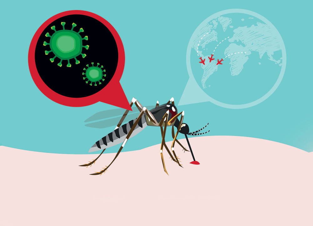 Naučnici otkrili šta je to komarcima slatko u ljudskoj krvi, pa spremaju revolucionarni lek protiv napasti