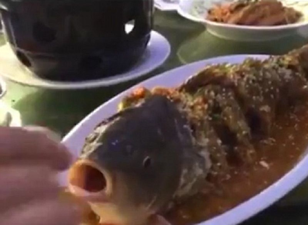 Skuvana i isečena riba oživela u tanjiru (VIDEO)