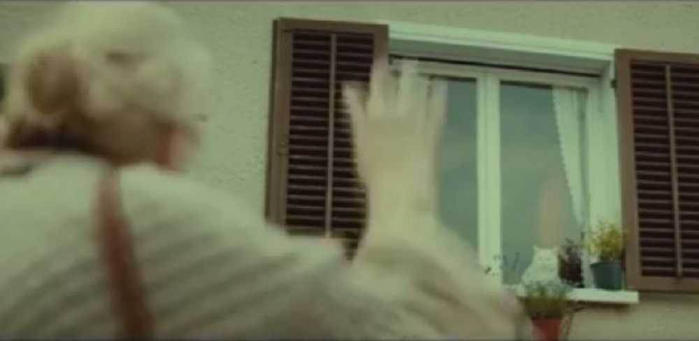 Evo šta mace rade kad su same (VIDEO)