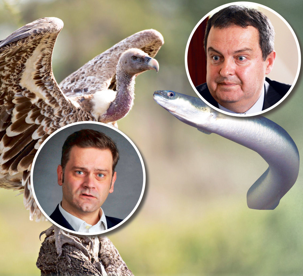 „Lešinari“ napali „jegulju“