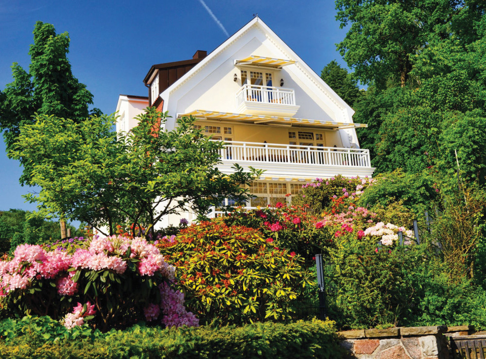 Vlada za cveće troši 5,6 miliona!