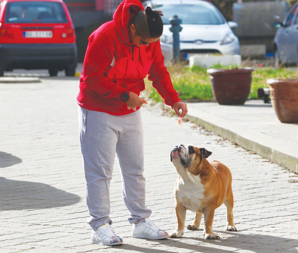 Pola jede, pola Robiju daje