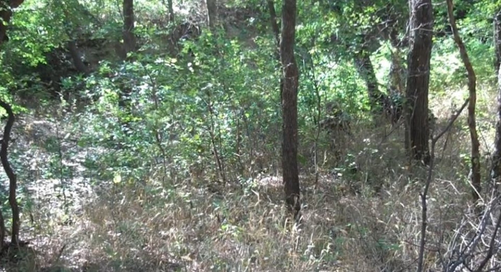 Drvoseče na Rudniku čuvaju spomenike mrtvaka