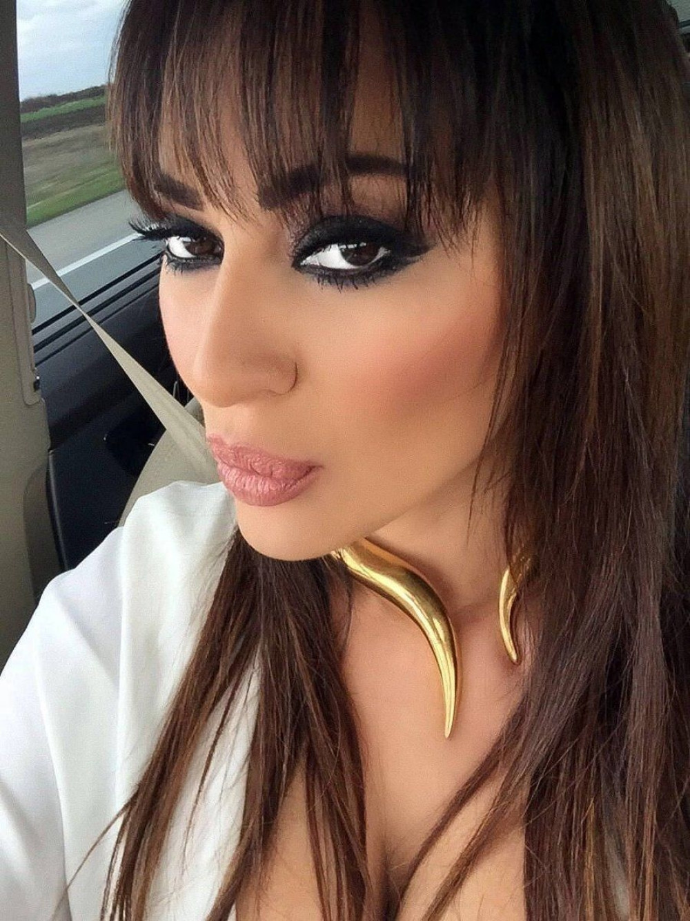 Podmlađena Ceca se vraća u "Pinkove zvezde"