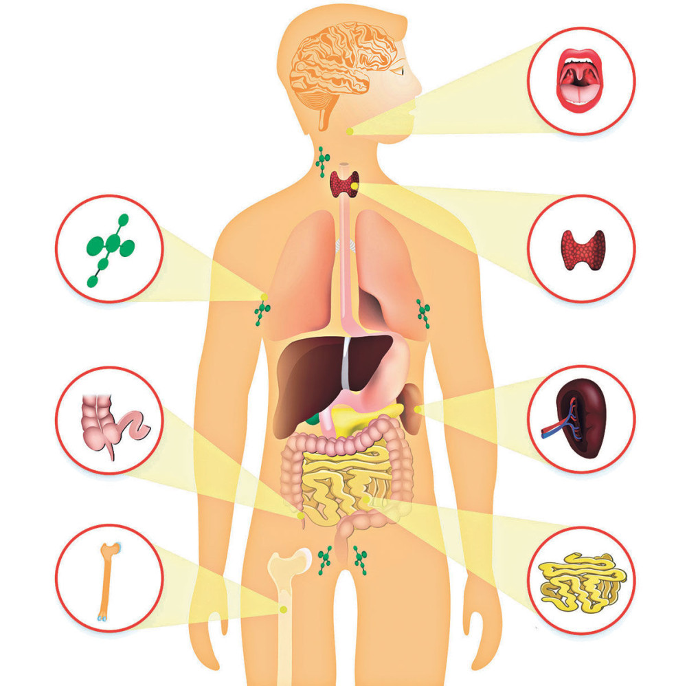 Više od polovine našeg tela uopšte nije ljudsko!