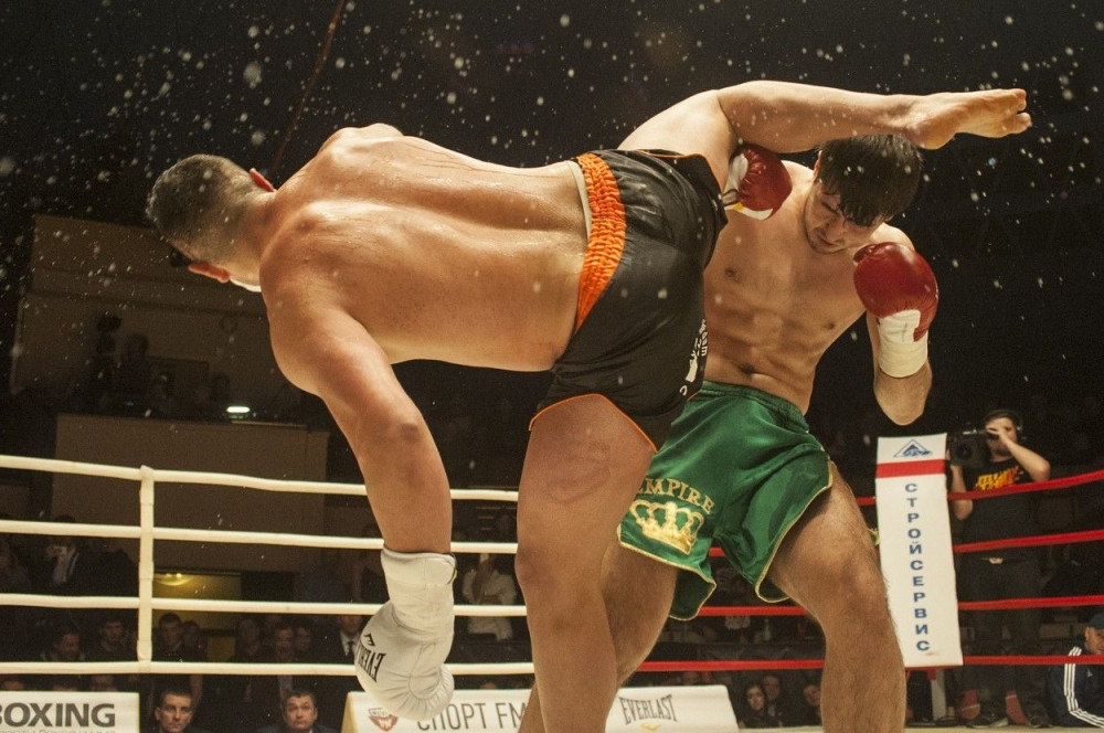 Srpski kik-bokseri treći u svetu