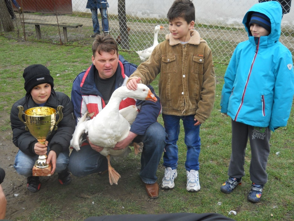 Gusan Potpisani satro Perspektivu