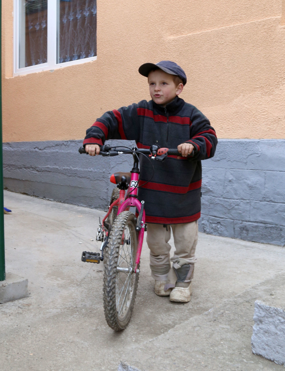 Jovan i Predrag konačno spavaju u sobi bez miševa!