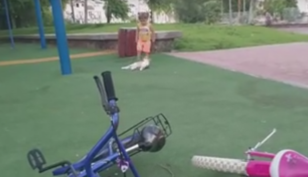 Evo zašto da ne dirate mace kad spavaju! (VIDEO)