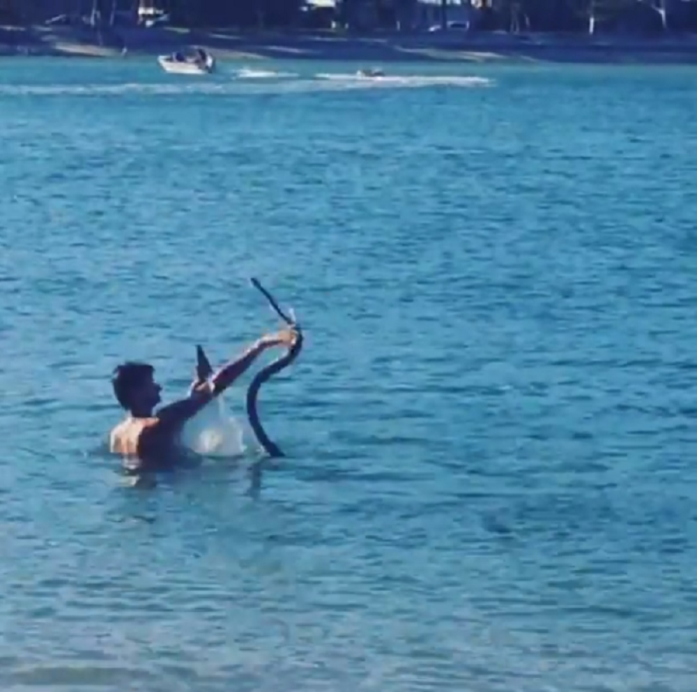 Izveo pitona na kupanje i poneo pivo! (VIDEO)