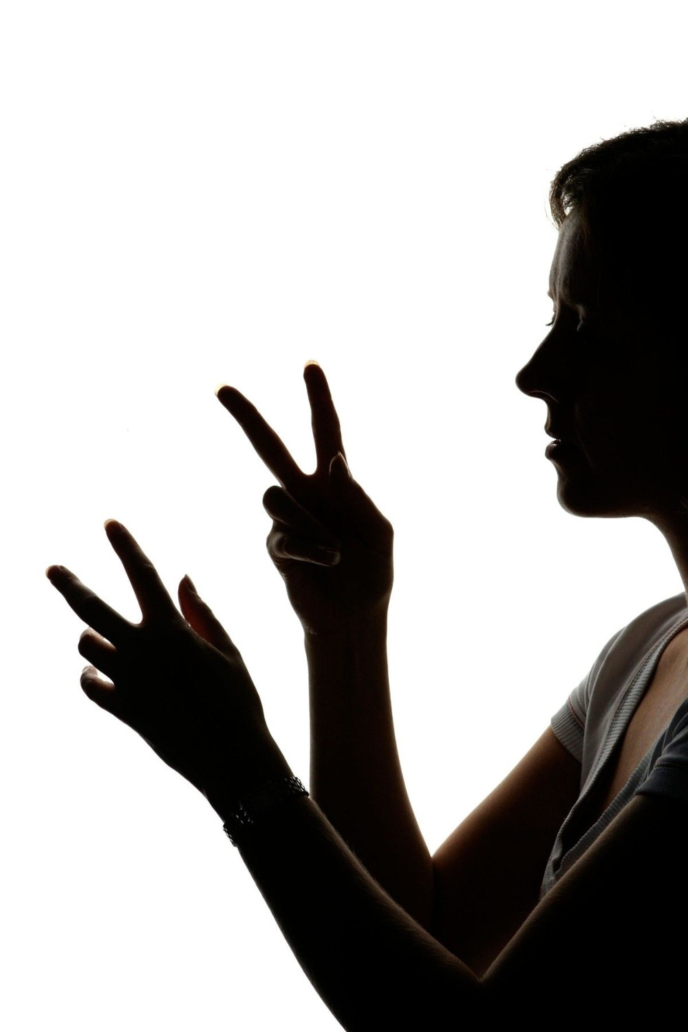 Bugarski: Bitna je svest da govorimo zajednički jezik