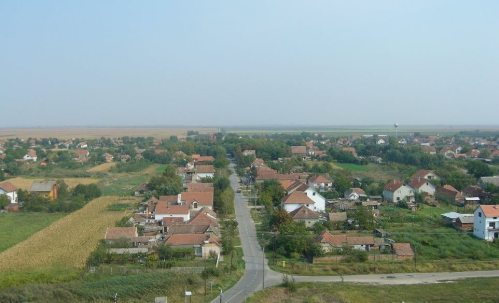 Bejzbolkom ubio ženu, pa se obesio!