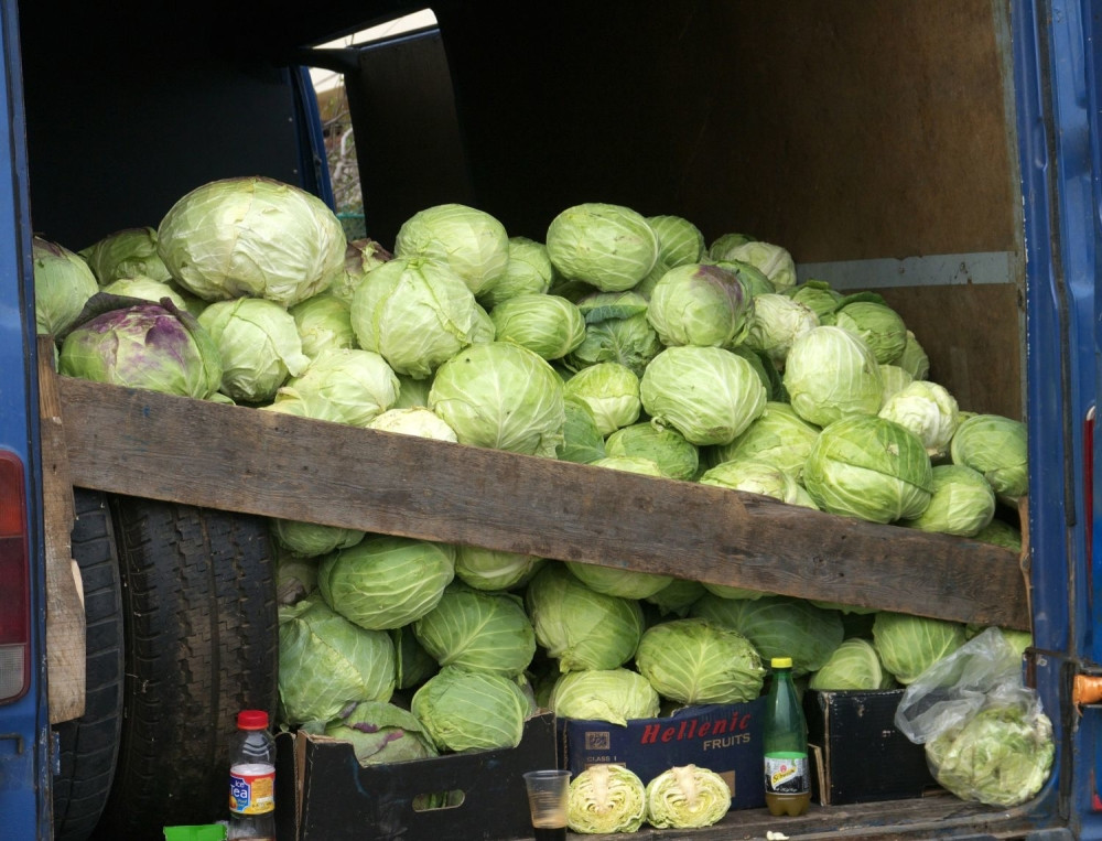 Kupusom protiv bolova