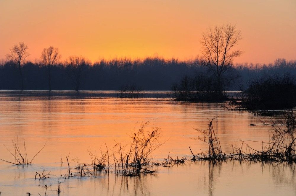 Otrovna tečnost iz BiH u sredu će se uliti iz Bosne u Savu
