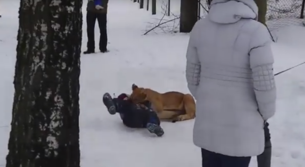 Lavić napao dečaka u javnom parku! (VIDEO)