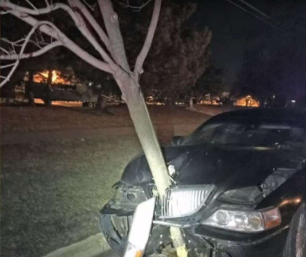 Pijana žena vozila sa stablom zabijenim u automobil (VIDEO)