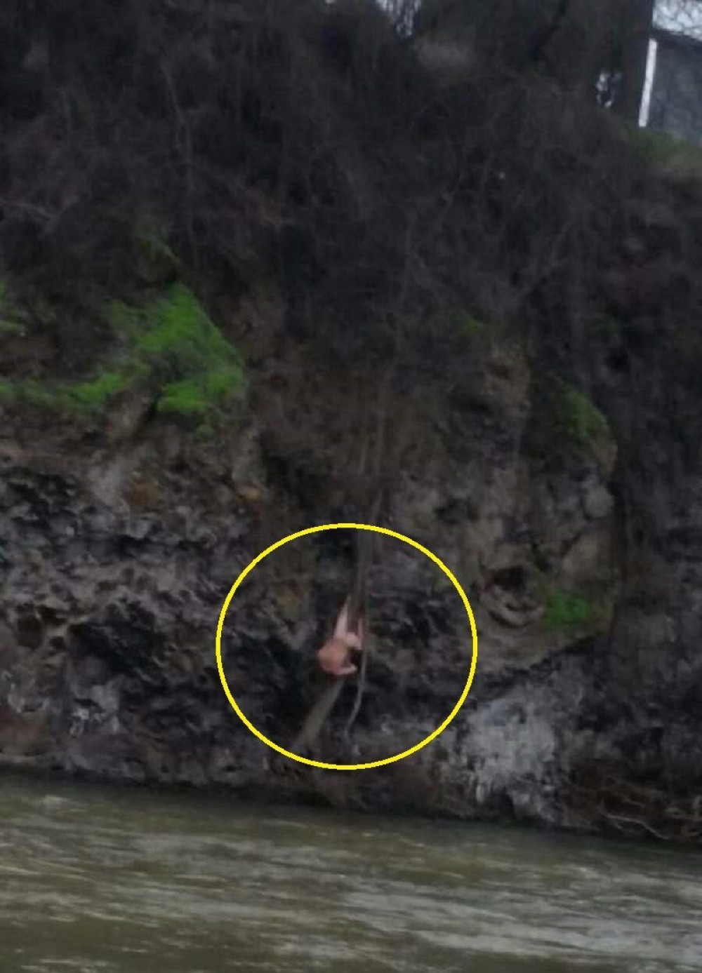 Ovo je ludak meseca! (FOTO)