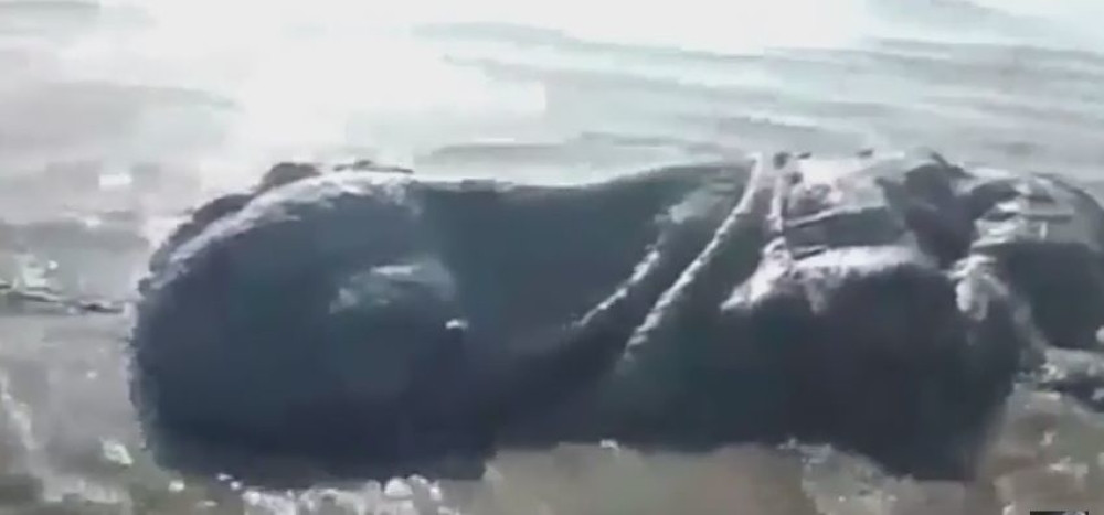 Šta je sad pa ovo? (VIDEO)