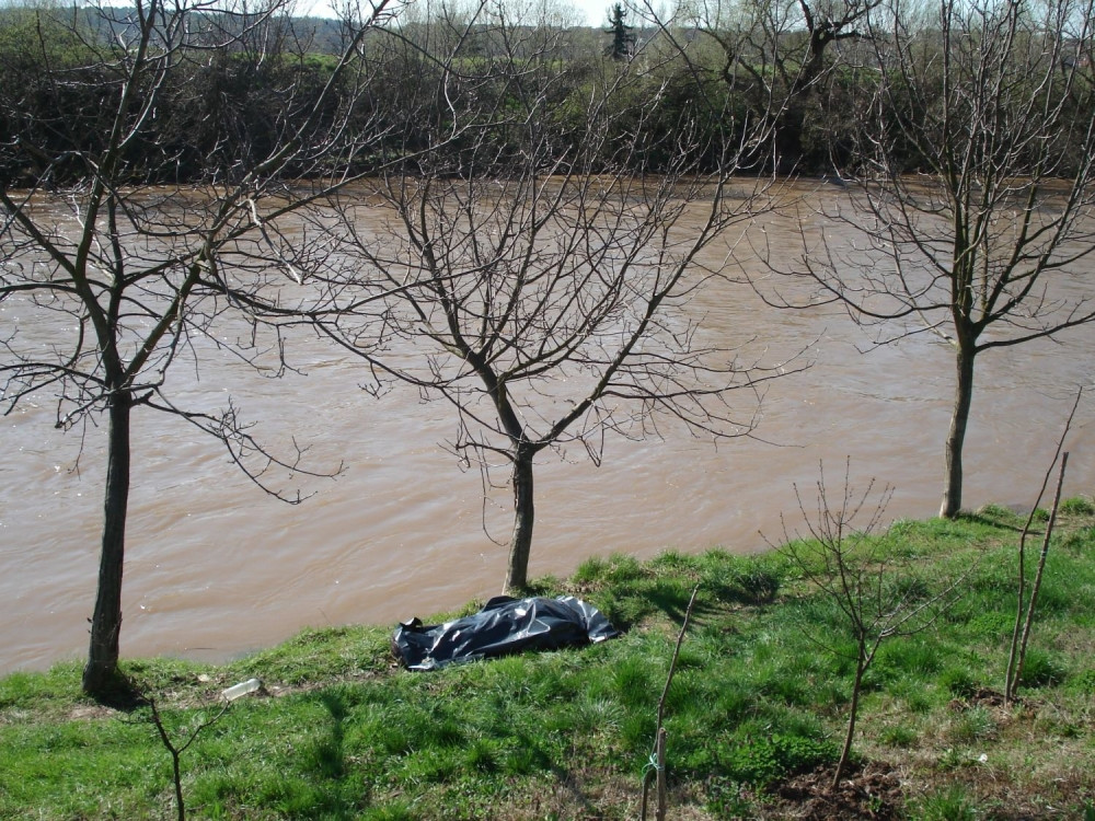 Ukleto mesto kod Novog Sada: Policija izvukla leš nagog muškarca, meštani otkrili jezive detalje!