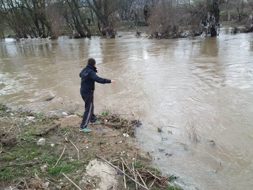 Razbio staklo i uspeo da se izvuče, njegov verni prijatelj ostao NA MESTU MRTAV