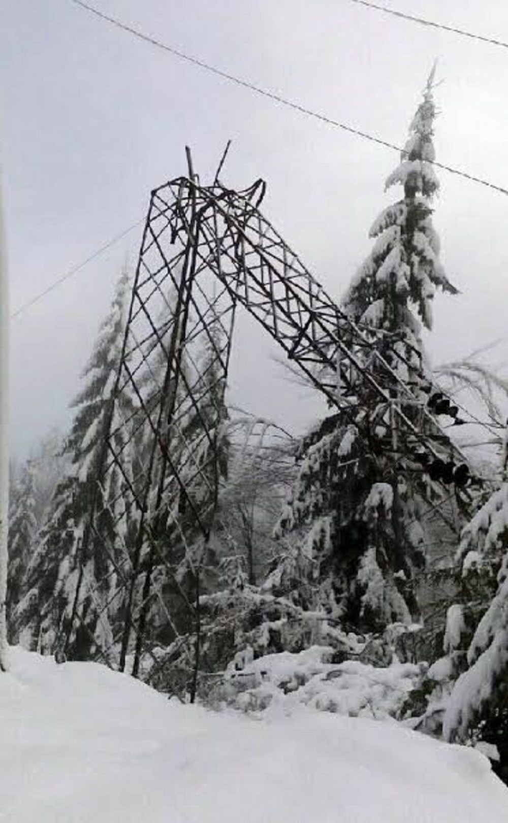 Bez struje 10 dana 90 potrošača!