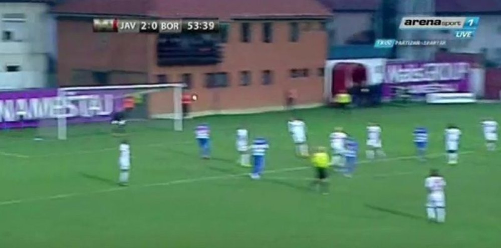 Golčina retko viđena na srpskim terenima (VIDEO)