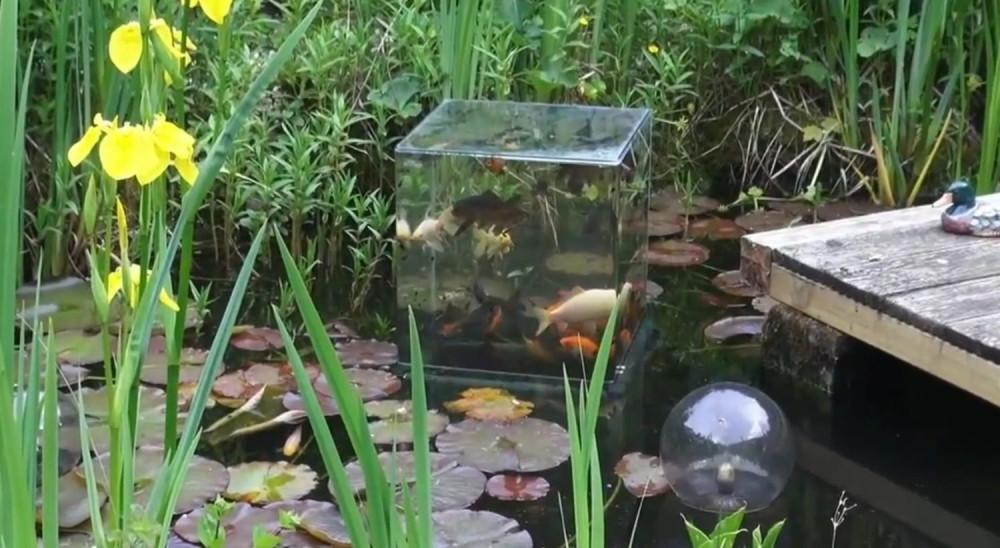 Ovaj akvarijum će vas oduševiti (VIDEO)