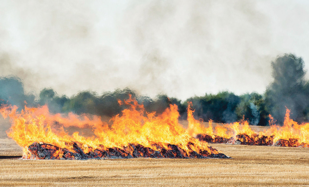 Gori rastinje kod Negotina!