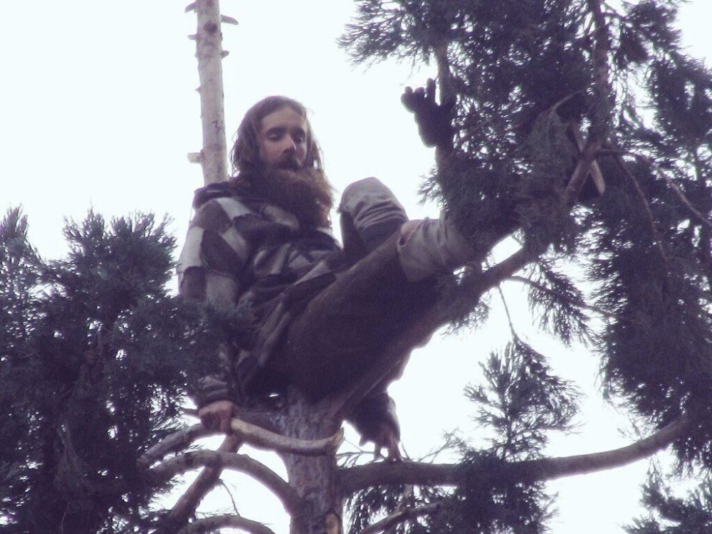 Neće da siđe s drveta, pa to ti je (VIDEO)