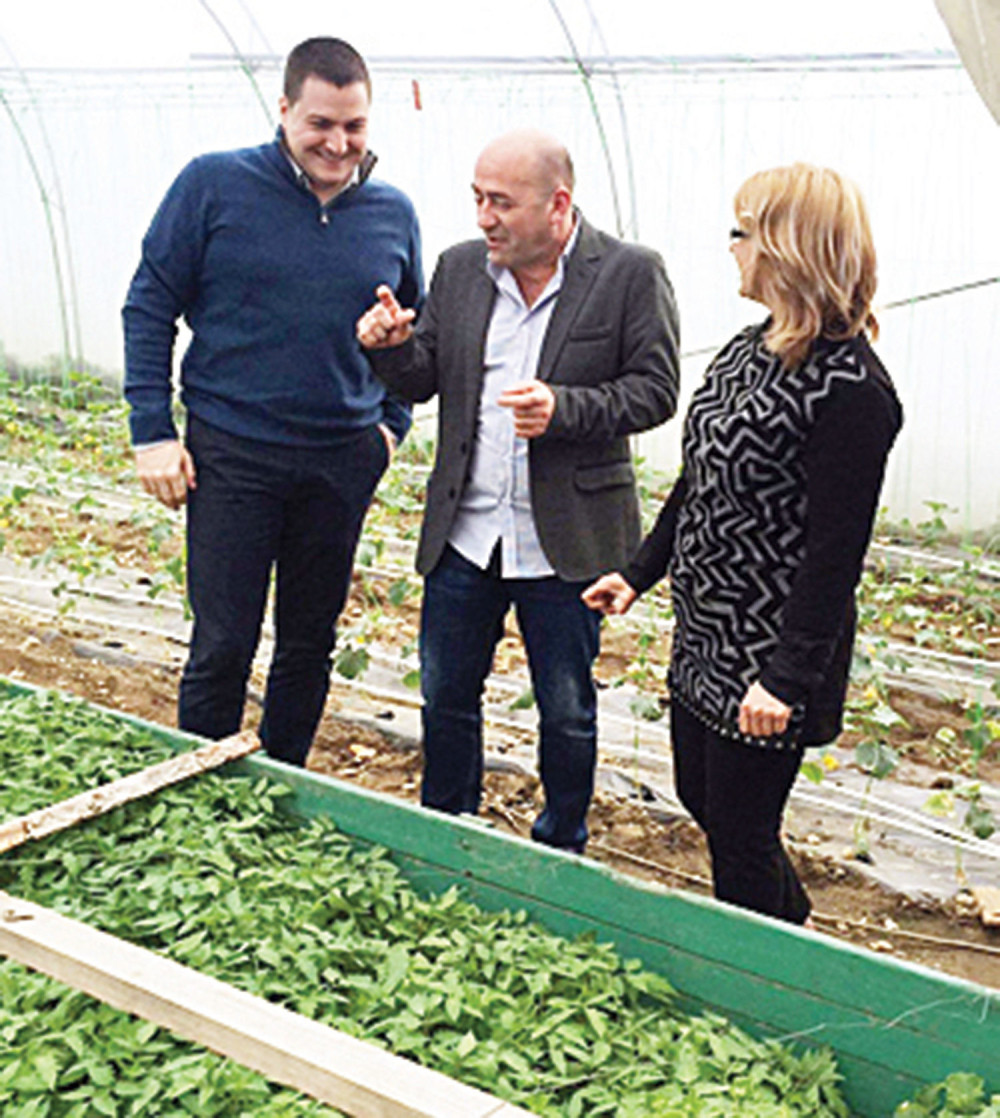 Ružić u paradajz izbornoj kampanji