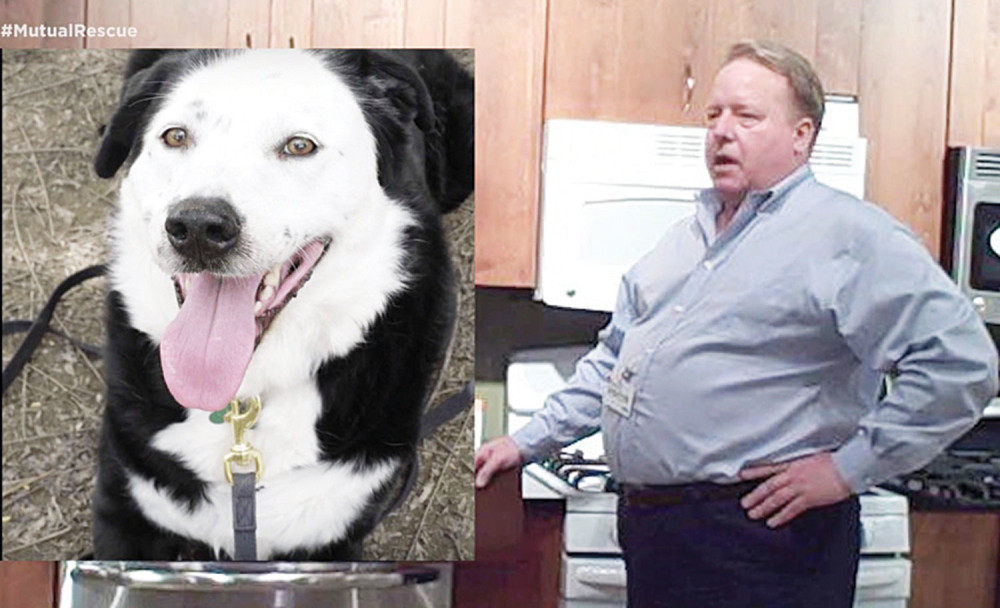 Usvojio mešanca i smršao 70 kilograma